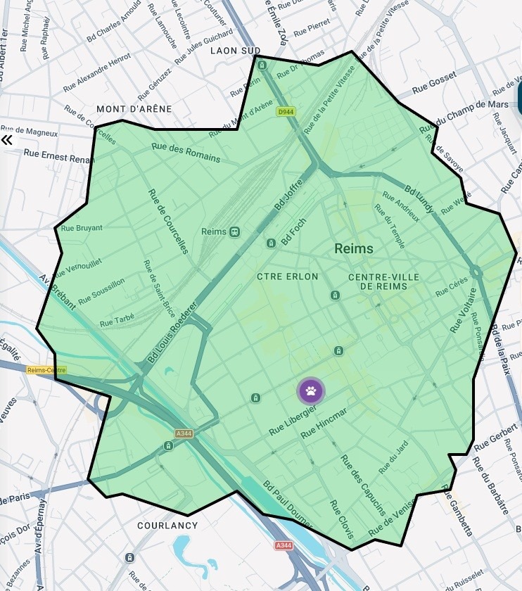 Territoire tracé sur une agglomération dans Data Zoning, avec le concurrent repéré à l'intérieur du périmètre